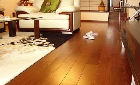 圓盤(pán)豆4.png 圓盤(pán)豆4.png