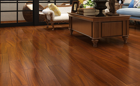 圓盤(pán)豆8.png 圓盤(pán)豆8.png