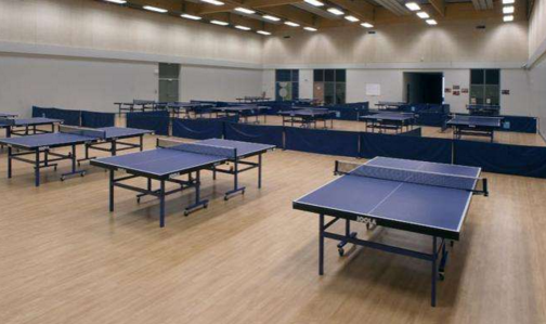 乒乓球地板1.png 乒乓球地板1.png