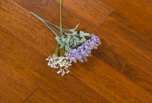 印加木2.png 印加木2.png