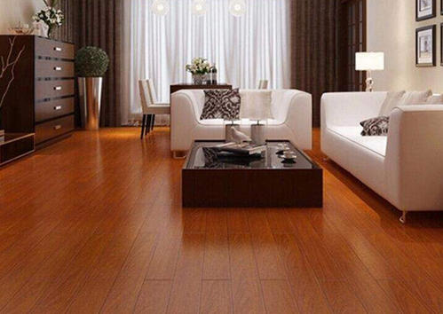 二翅豆地板1 二翅豆地板1