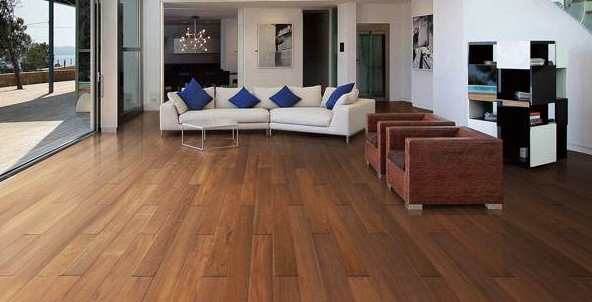 柚木1.png 柚木1.png