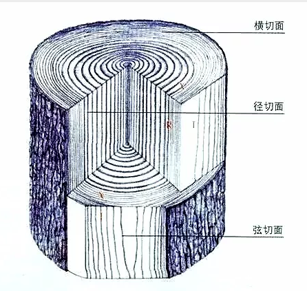 心材.png 心材.png